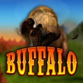 Buffalo Bingo by MGA Games, showcased at rosy-bingo.net – game logo
